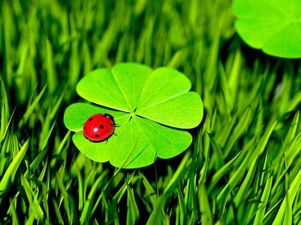 GOOD LUCK: HOW TO ATTRACT THE FORTUNE OF LUCK