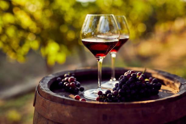 NATURAL WINE FACTS: WHAT MADE IT SO IMPORTANT?